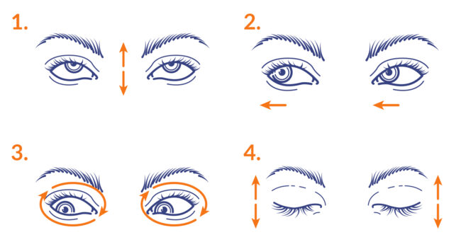 Die Augenübung "Augenrollen" in 4 einfachen Schritten